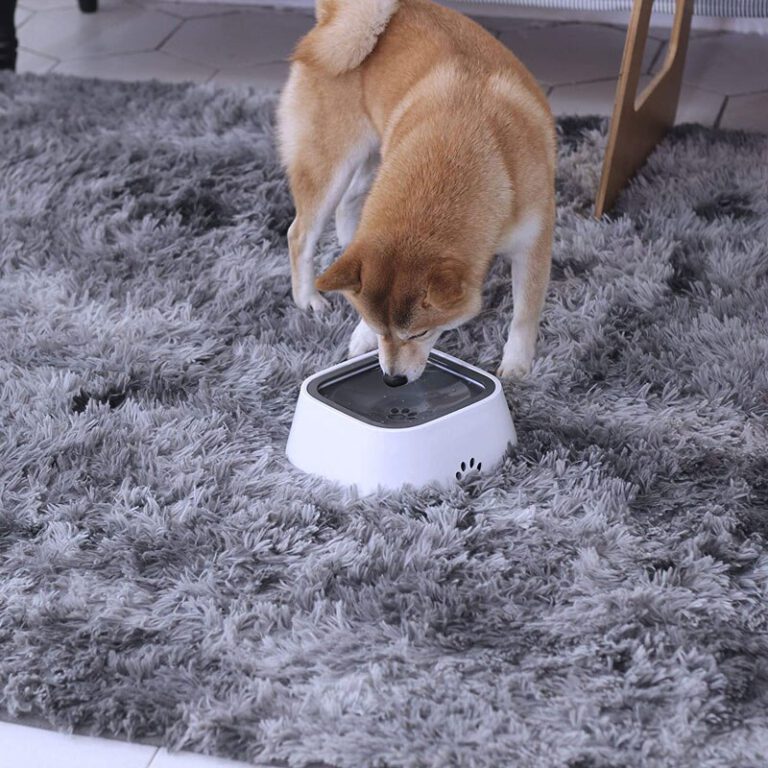 HappyPawsshop Okos itató