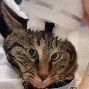 Happypowsshop masszírozó